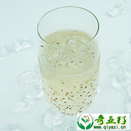奇亚籽