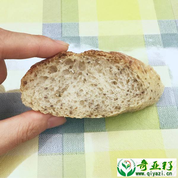 奇亚籽